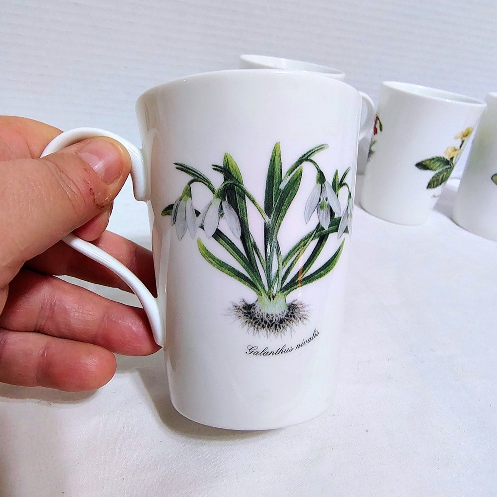 Royal Victorian Staffordshire England Botanical Flower Mugs Fine Bone China - Picture 6 of 13